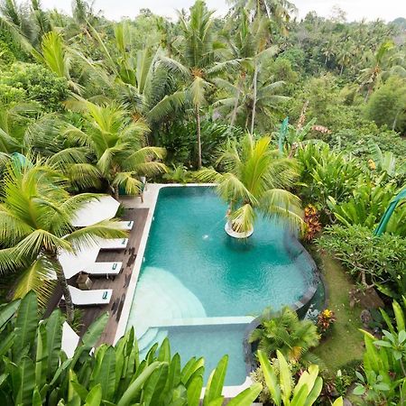 Alamdini Resort Ubud Luaran gambar